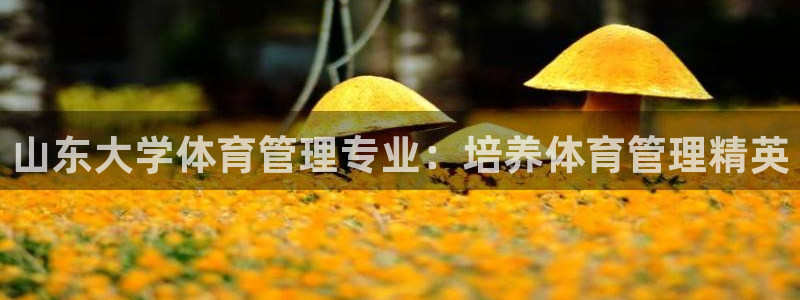 必一体育合法吗