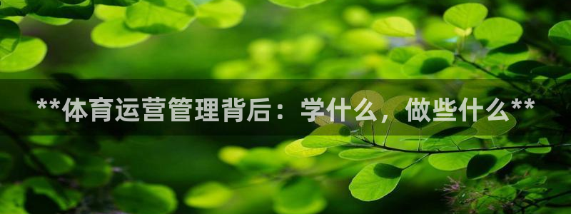 必一体育登录入口