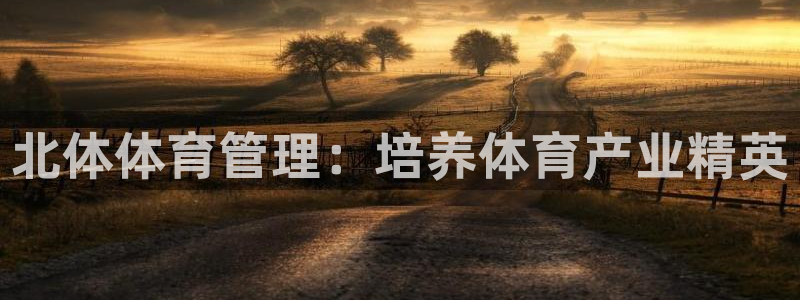 必一体育网页