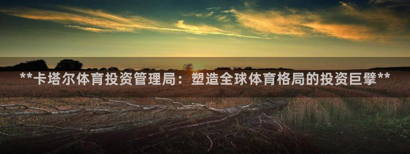 必一体育bsport