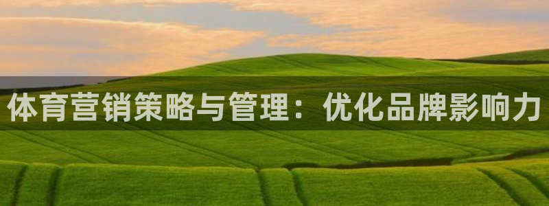 必一体育官方下载：体