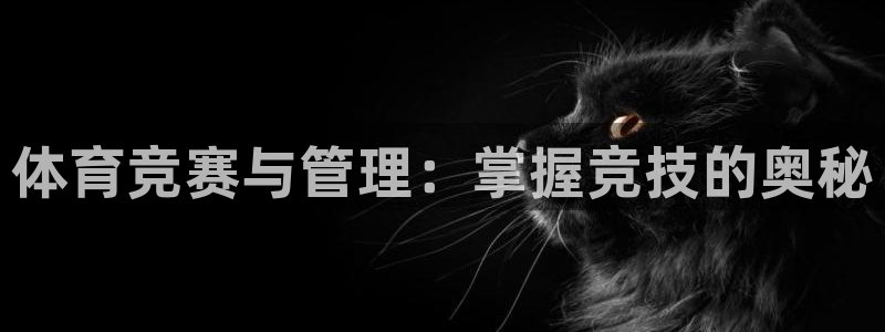 必一体育登录
