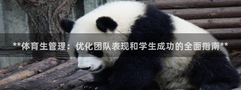 必一体育手机下载：*