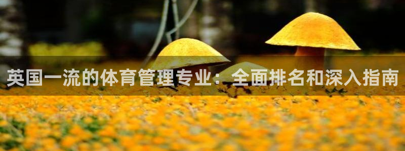 必一体育秀给网：英国