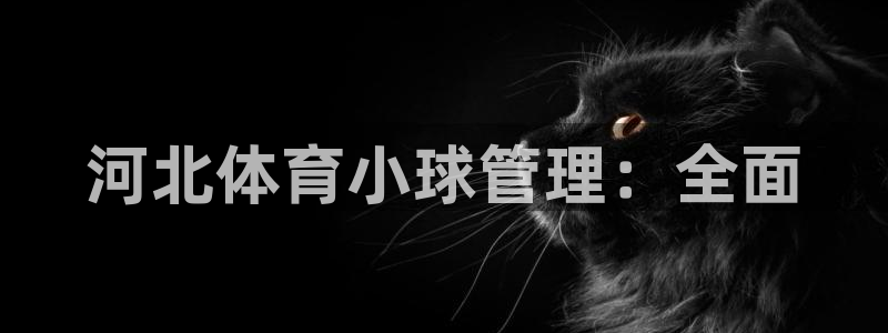 必一体育运动app：