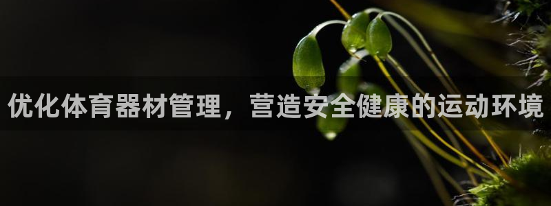 必一体育APP下载安