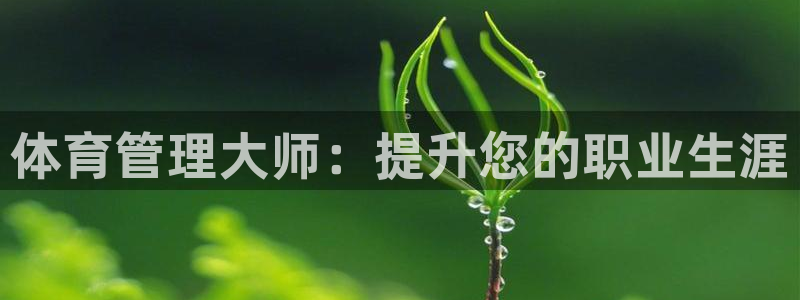 必一体育app下载装机吧