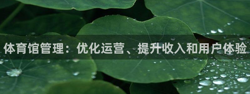 必一体育在哪下：体育