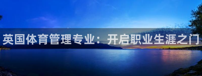 必一体育电子app