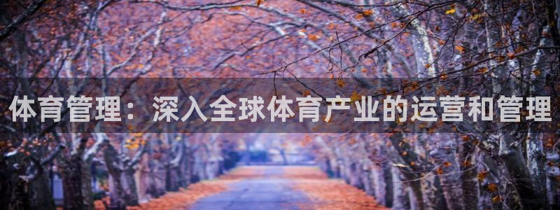 必一体育下载app