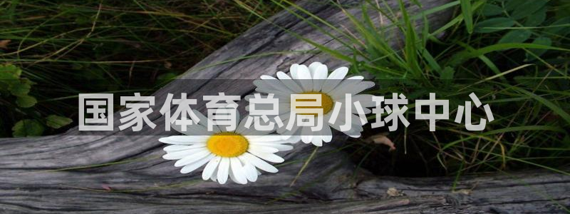 必一体育app官方下
