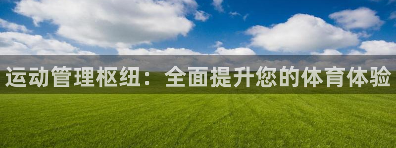 必一体育app下载装机吧