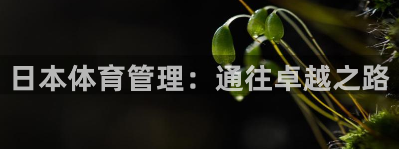 必一体育app官方下载入口