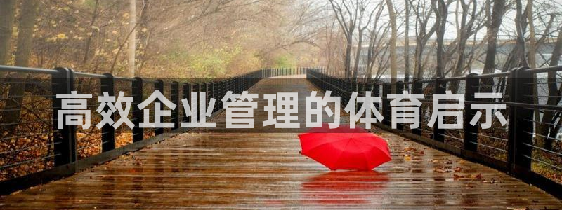 必一体育bsport下载