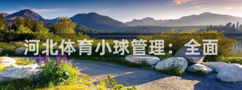 必一体育app官方正