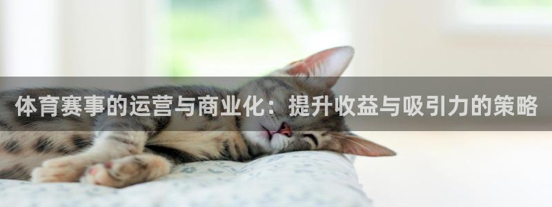必一体育运动官网：体