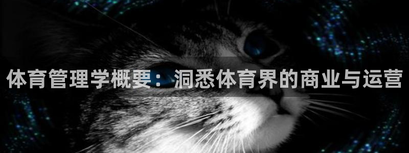 必一体育bsport