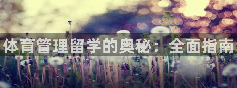 必一体育黑平台