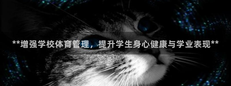 必一体育sport官方网站