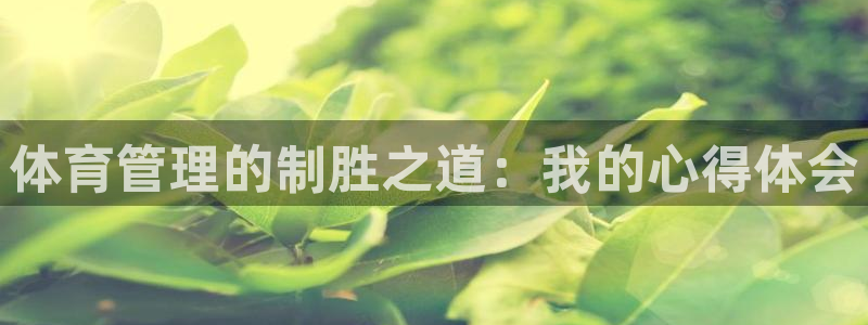 必一体育没了：体育管