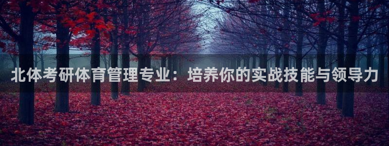 必一体育是哪里的台子