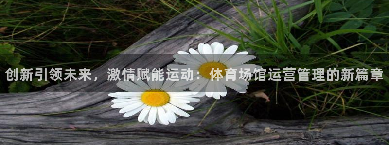 必一运动体育：创新引