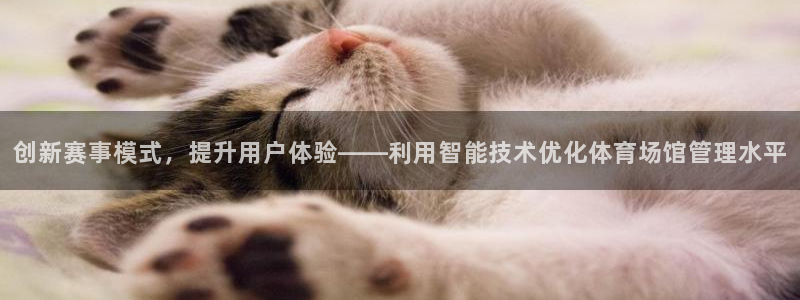 必一运动·(B-Sp