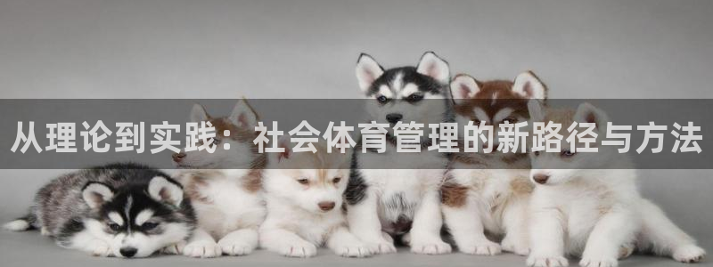 必一体育app官方正