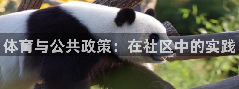 必一体育在线下载：体