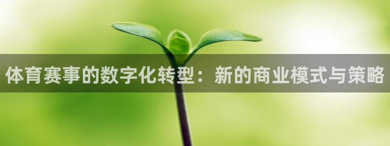 必一体育可靠吗：体育