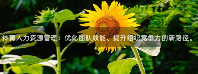 必一体育sportB
