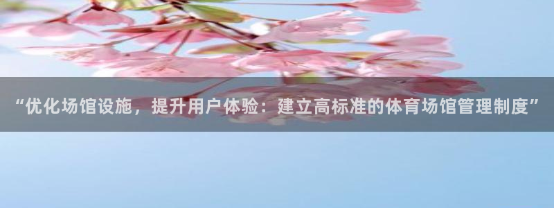 必一体育官方入口：“