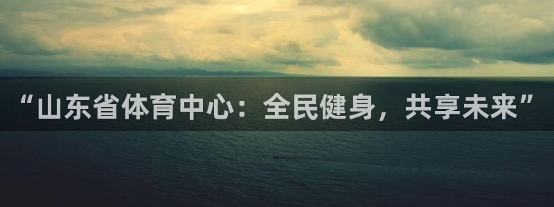 必一体育bsport