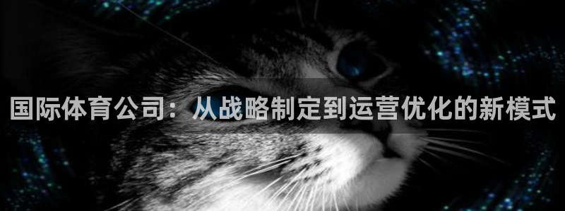 必一体育app官方正
