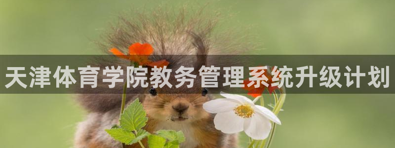 必一运动体育官网：天