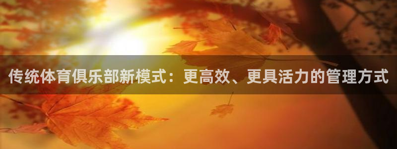 必一体育全站在线登录