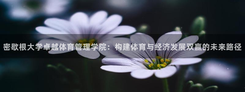 必一体育在线登录：密
