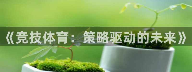 必一体育app下载：