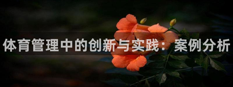 必一体育登陆：体育管