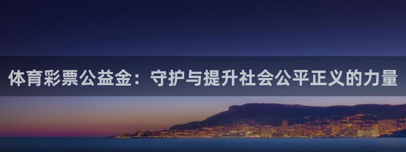 必一运动官网装机吧：体育彩票公益金：守护与提升社会公平正义的