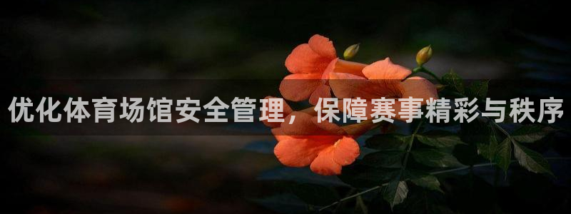 必一体育最新官网入口