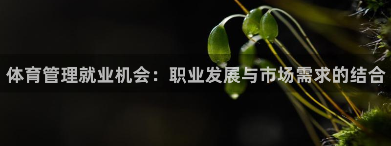 必一运动体育官网：体