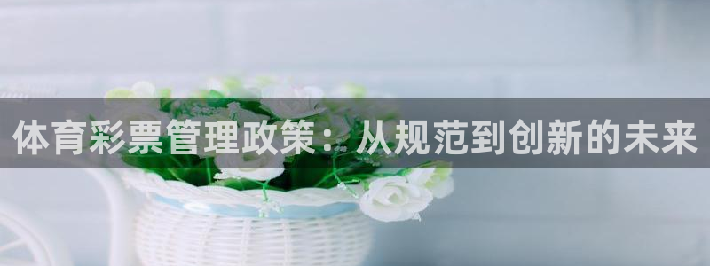必一体育网页版登录：体育彩票管理政策：从规范到创新的未来