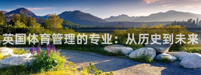 必一运动官网登录入口