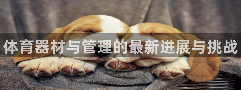 必一运动sport爱