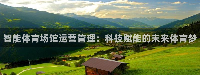 必一体育APP下载安