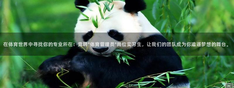 必一体育登录入口：在