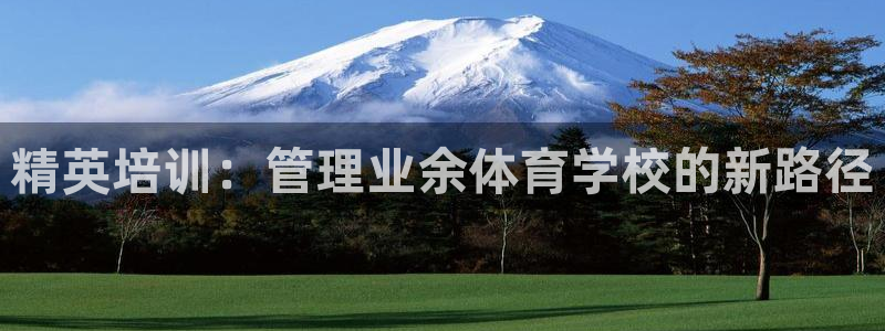 必一体育没了：精英培