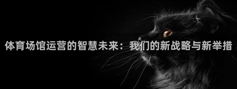 必一体育app官方下