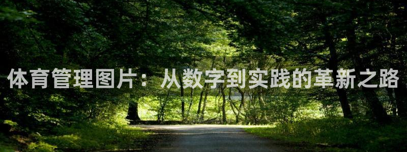 必一运动sport网页版：体育管理图片：从数字到实践的革新之
